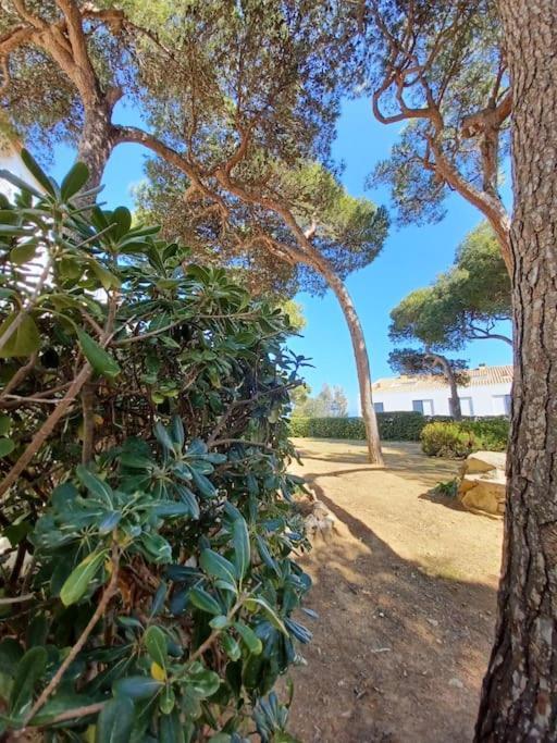Apartamento Roc Mar Llafranc Exteriér fotografie