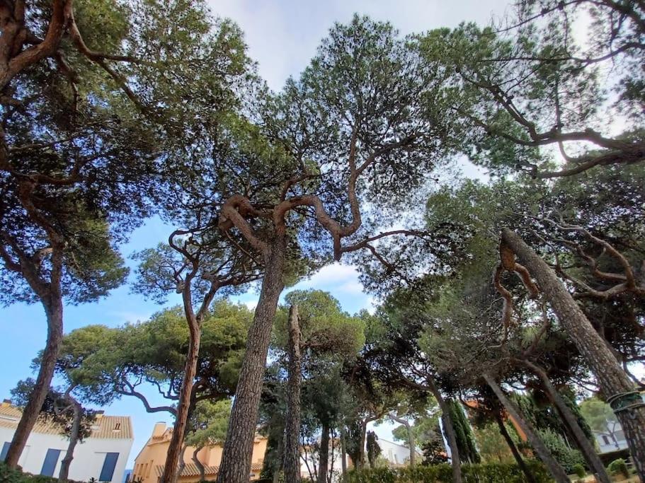Apartamento Roc Mar Llafranc Exteriér fotografie
